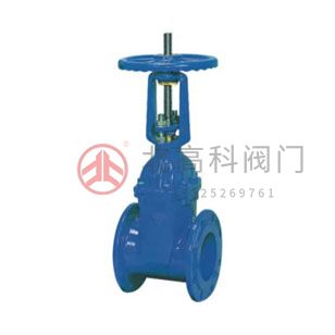 Z45X-10、Z45X-16 彈性座封閘閥